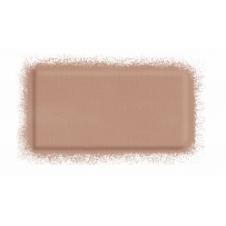 ARTIST FACE COLOR SCULPTING