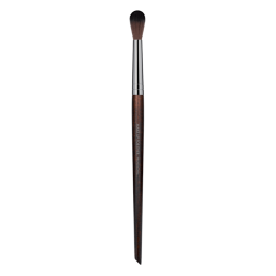 MUST HAVE ERASMUS BRUSHES