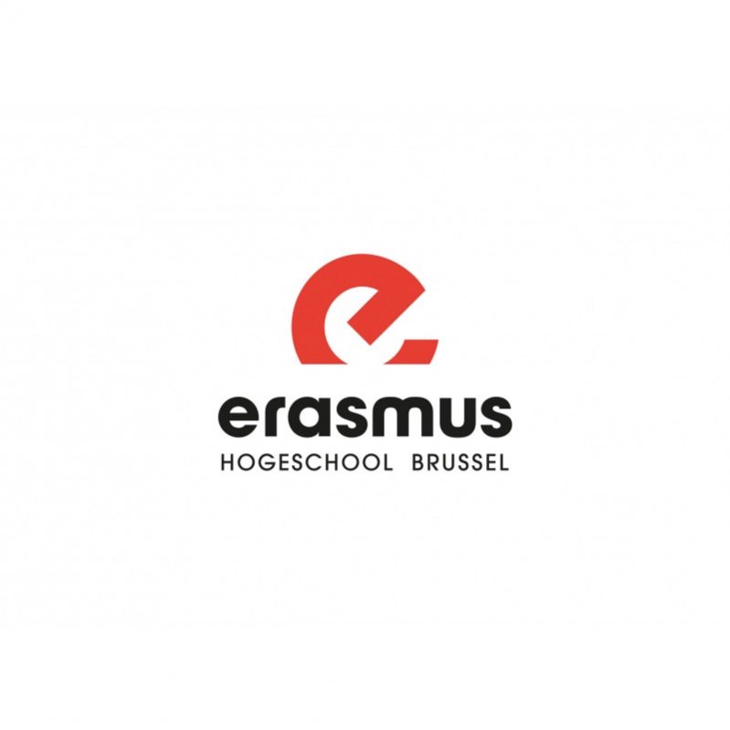 MUST HAVE ERASMUS BRUSHES