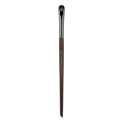 BRUSHES
