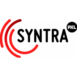 SYNTRA PXL KIT POST MORTEM PENSELEN SYNTRA PXL KIT POST MORTEM PENSELEN