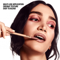 ARTIST COLOR PENCIL - LEVRES