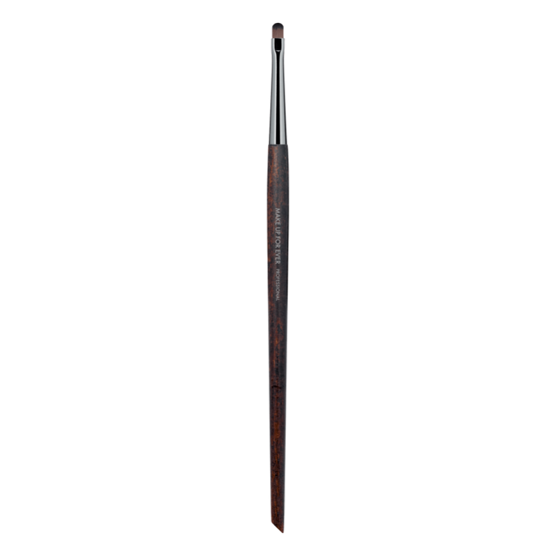 BRUSHES