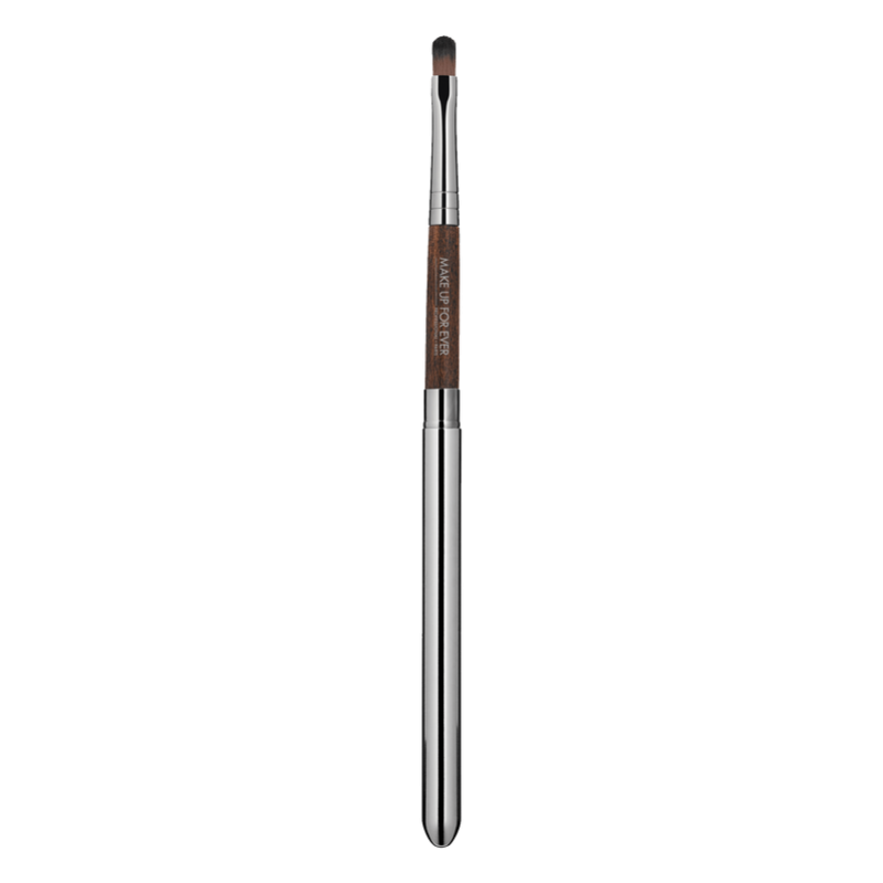 BRUSHES