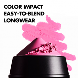 ARTIST COLOR CRAYON 