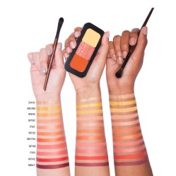 ARTIST COLOR SHADOW