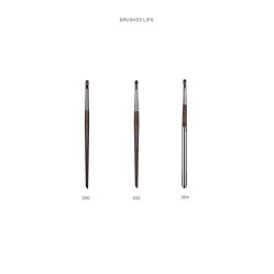 BRUSHES